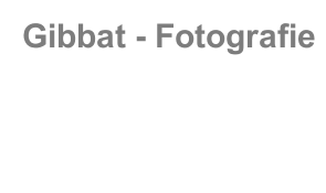 Gibbat - Fotografie